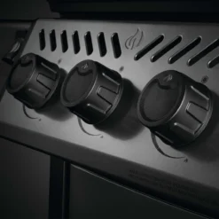 Napoleon Freestyle 365, 3 Hauptbrenner, Graphit 16 Napoleon Freestyle 365, 3 Hauptbrenner, Graphit -Gasgrills Verkaufsgeschäft napoleon freestyle 365 3 hauptbrenner graphit 2f1eb5625778b5d7f71403fa55cda22e